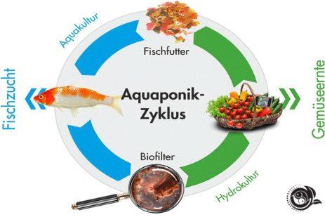Aquaponik Kreislauf extrem vereinfacht Aquaponik ist komplex, Vereinfachung dient dem Verstehen