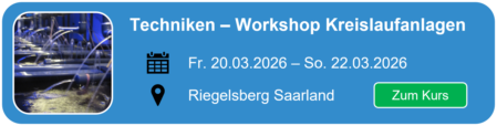 Hier geht es zum Workshop Kreislaufanlagen Techniken der Smartfisch Akademie ins Saarland